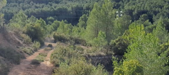  Land in Pinoso, Spain No. 160962 25