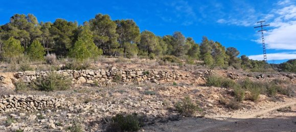  Land in Pinoso, Spain No. 160962 8