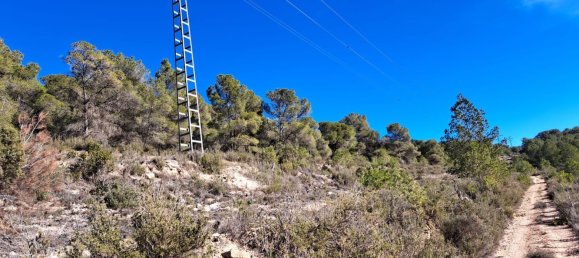  Land in Pinoso, Spain No. 160962 26