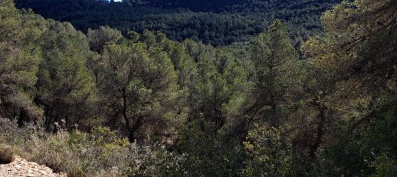  Land in Pinoso, Spain No. 160962 24