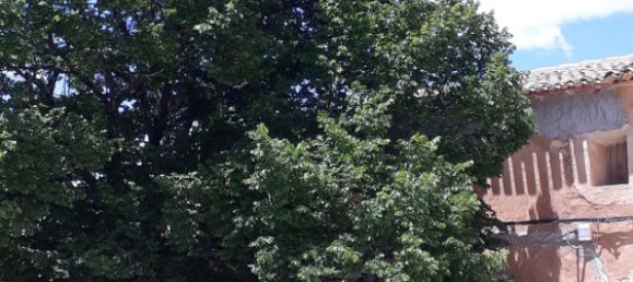  Land in Pinoso, Spain No. 160962 16