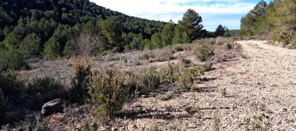 Land in Pinoso, Spain No. 160962 12
