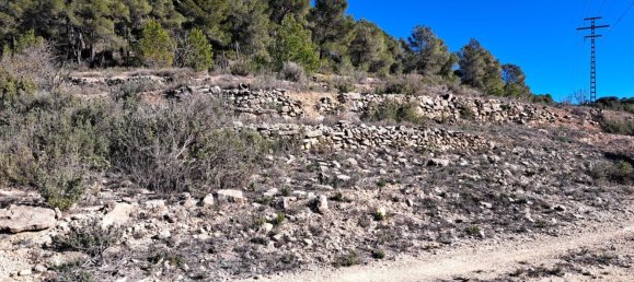  Land in Pinoso, Spain No. 160962 7