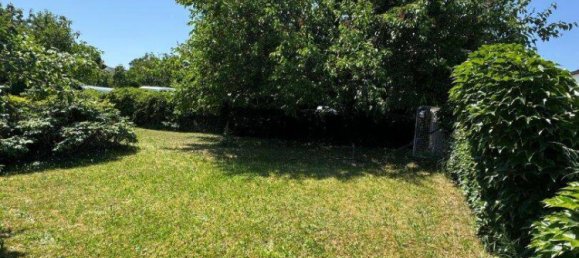 1-Zimmer Grundstück in Rust, Austria, Nr. 142481 7