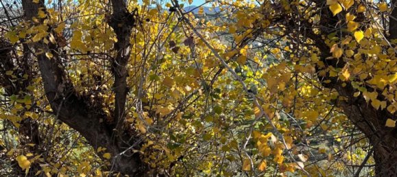 6 chambres Maison à Ronda, Spain No. 86580 28