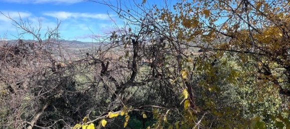 6 chambres Maison à Ronda, Spain No. 86580 27