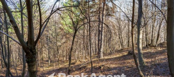 2 غرف نوم منزل في Giaveno, Italy رقم 318429 29