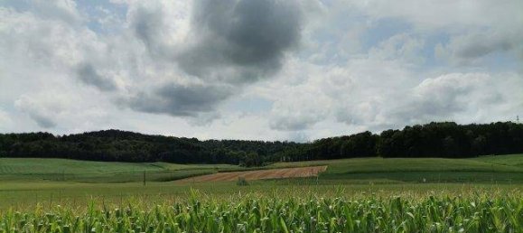 4 chambres Maison à Kukmirn, Austria No. 235064 16