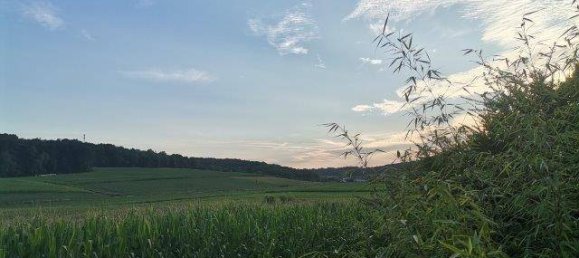 4 chambres Maison à Kukmirn, Austria No. 235064 26