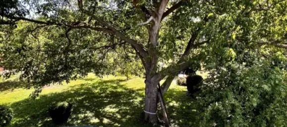 3 غرف نوم تاون هاوس في Grevenbroich, Germany رقم 286957 8