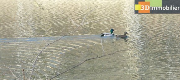 8 bedrooms House in Dole, France No. 201560 5