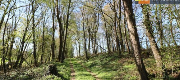 8 bedrooms House in Dole, France No. 201560 7