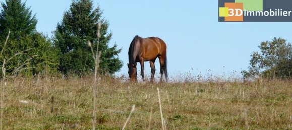 8 bedrooms House in Dole, France No. 201560 9