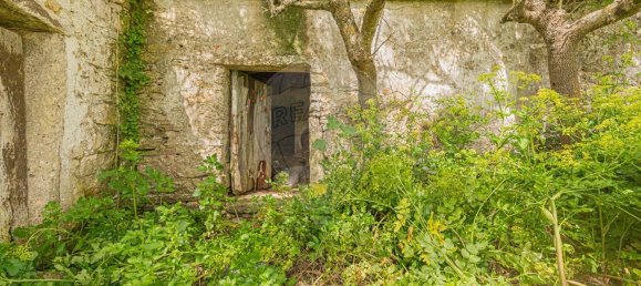 5 bedrooms House in Mafra, Portugal No. 169996 3