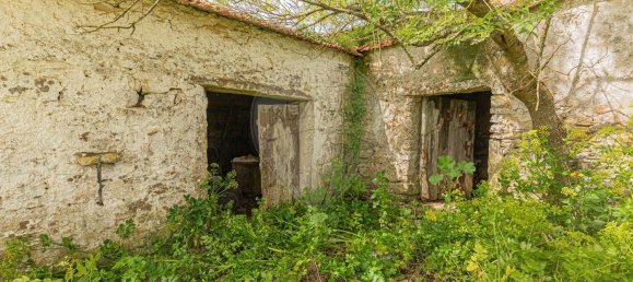 5 bedrooms House in Mafra, Portugal No. 169996 2