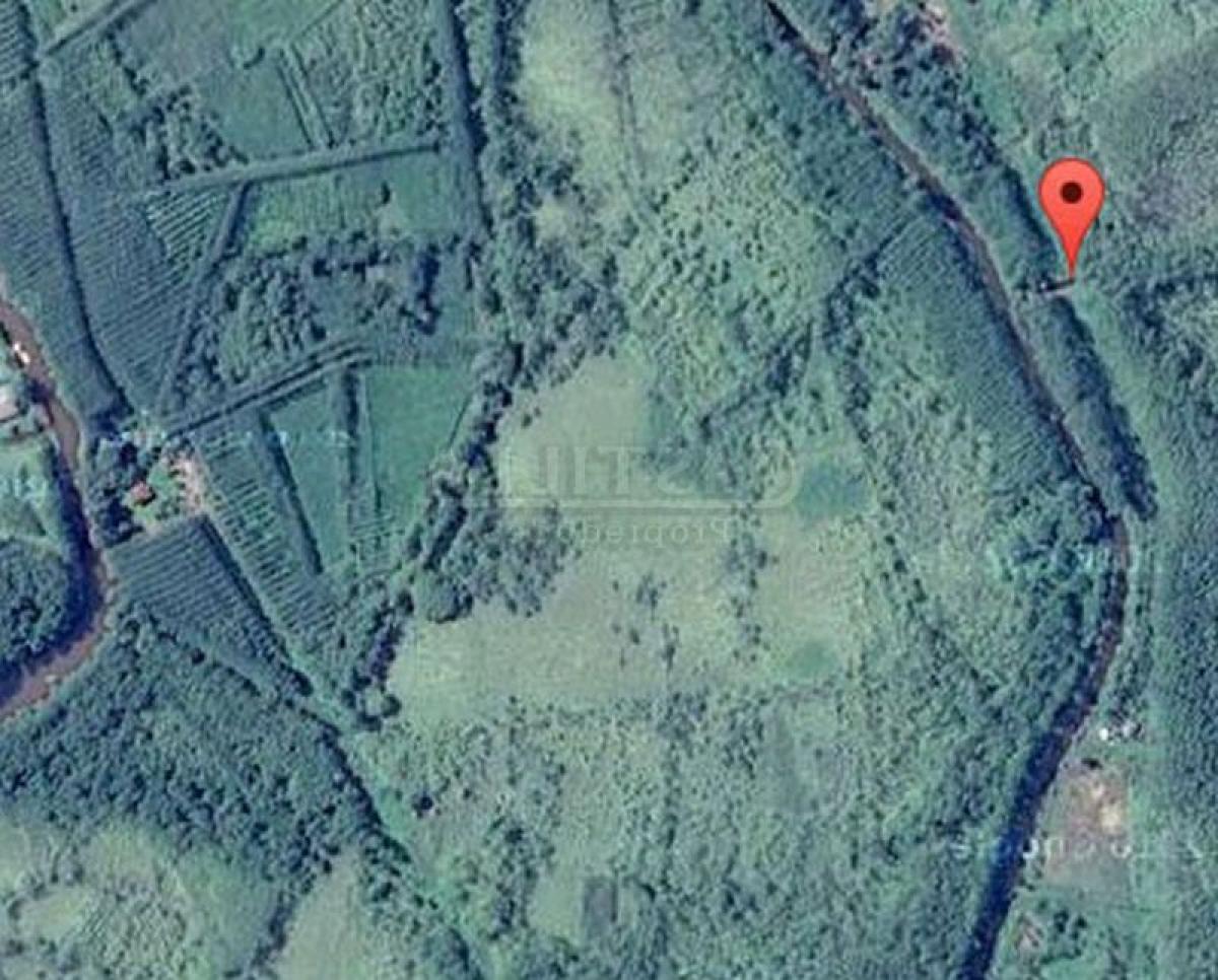  Land in San Fernando, Argentina No. 48111