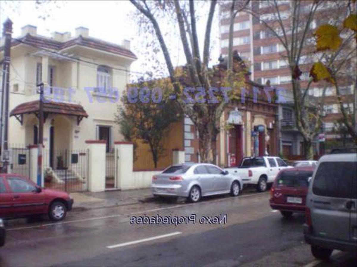 8 bedrooms House in Montevideo, Uruguay No. 1529