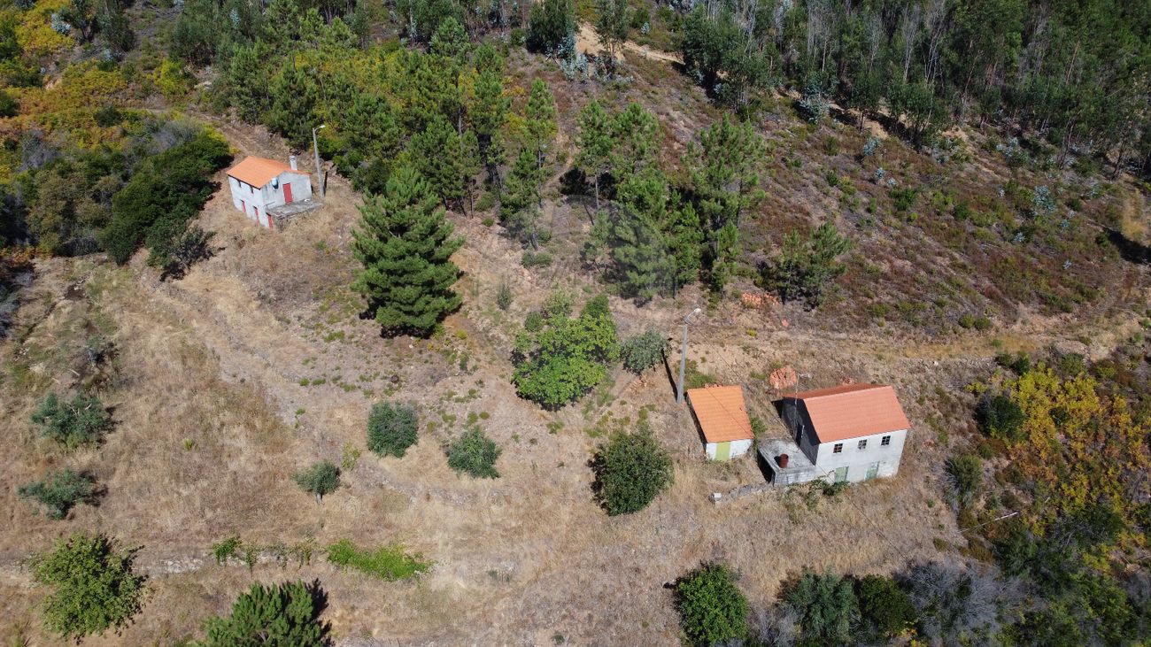 3 غرف نوم منزل في Troviscal, Portugal رقم 172363