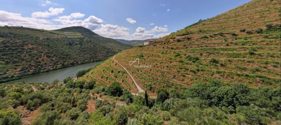 6 bedrooms Land in Sabrosa, Portugal No. 192318 4