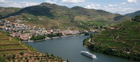 6 bedrooms Land in Sabrosa, Portugal No. 192318 14