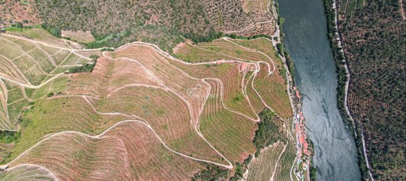 6 bedrooms Land in Sabrosa, Portugal No. 192318 9