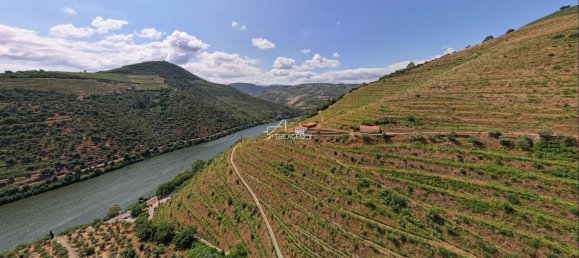 6 bedrooms Land in Sabrosa, Portugal No. 192318 5