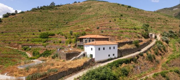 6 bedrooms Land in Sabrosa, Portugal No. 192318 2