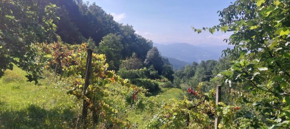 Terreno em Amares, Portugal N.º 34991 4