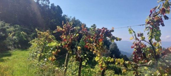 Terreno em Amares, Portugal N.º 34991 3