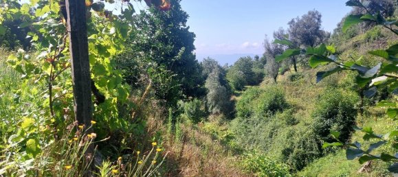 Terreno em Amares, Portugal N.º 34991 5