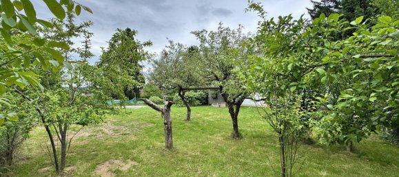 Terrain à Waltendorf, Austria No. 241870 9