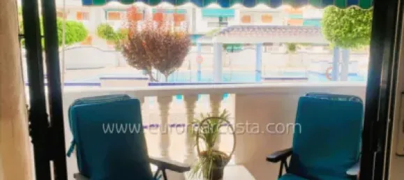 1 chambre Appartement à Torrevieja, Spain No. 133938 9