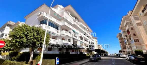 1 chambre Appartement à Torrevieja, Spain No. 133938 22