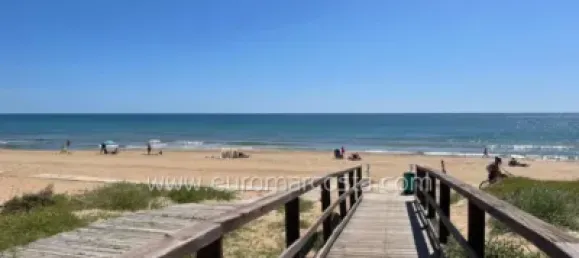 1 chambre Appartement à Torrevieja, Spain No. 133938 15