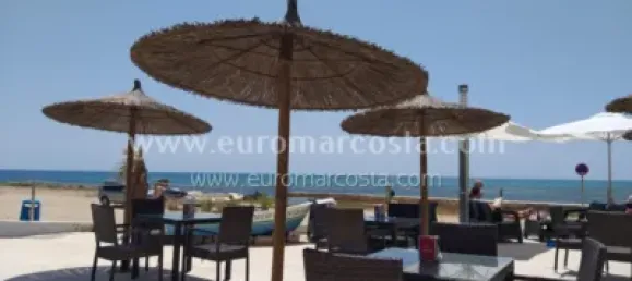 1 chambre Appartement à Torrevieja, Spain No. 133938 20