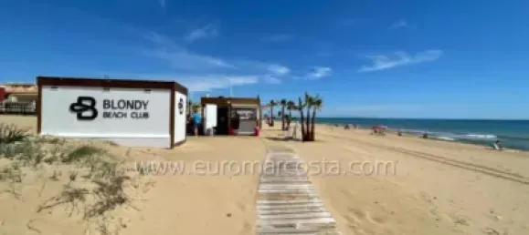 1 chambre Appartement à Torrevieja, Spain No. 133938 18