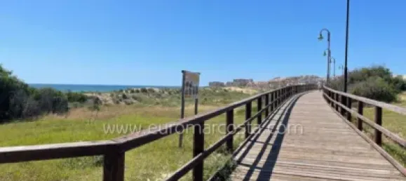 1 chambre Appartement à Torrevieja, Spain No. 133938 17