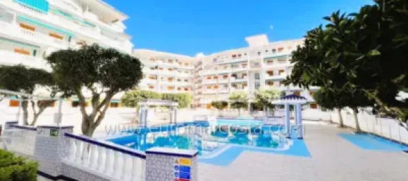 1 chambre Appartement à Torrevieja, Spain No. 133938 14