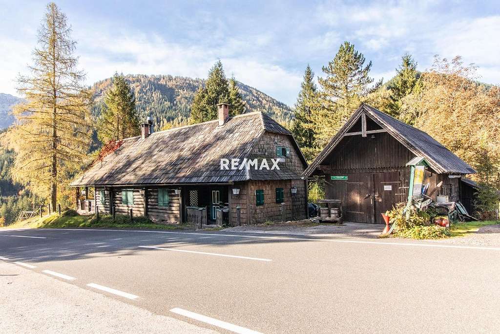 Коммерческая недвижимость 150м² в Розенау ам Хенгстпас, Австрия № 73414