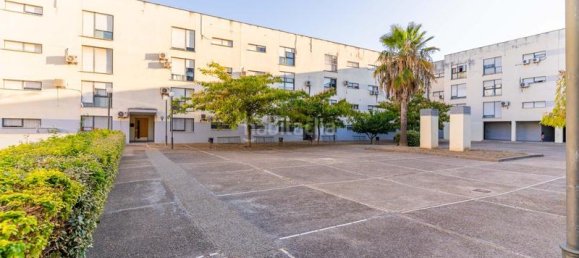 4 bedrooms Apartment in Jerez de la Frontera, Spain No. 173316 25