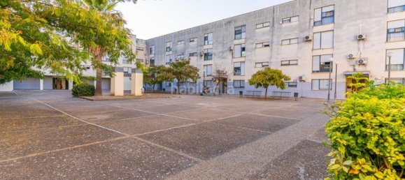 4 bedrooms Apartment in Jerez de la Frontera, Spain No. 173316 47