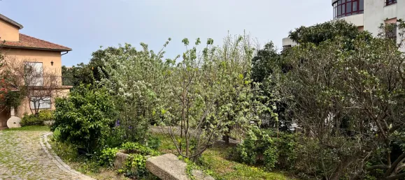 240m² Land in Vila Real, Portugal No. 146519 9