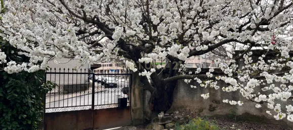 240m² Land in Vila Real, Portugal No. 146519 2