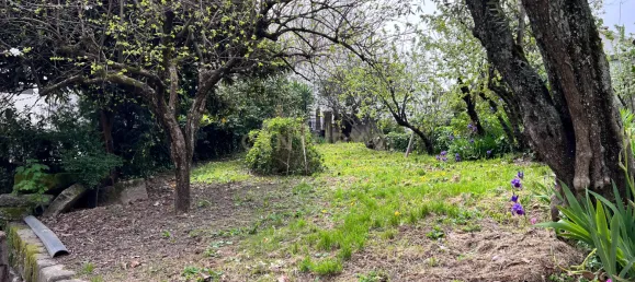240m² Land in Vila Real, Portugal No. 146519 11