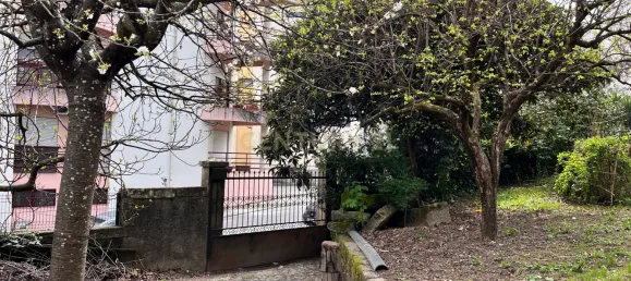 240m² Land in Vila Real, Portugal No. 146519 10