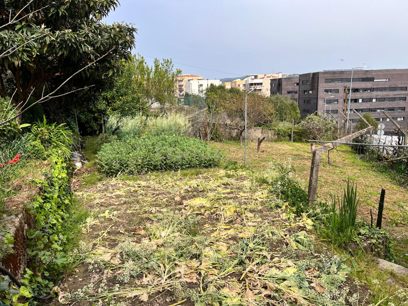 240m² Land in Vila Real, Portugal No. 146519