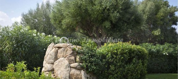 5 rooms Villa in Palau, Italy No. 232516 20