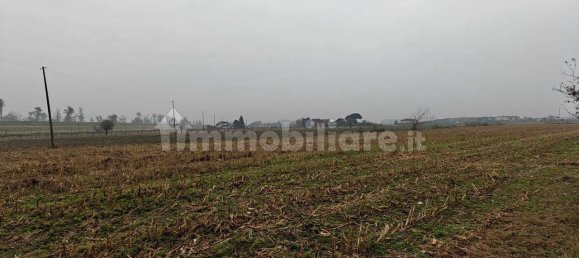 Дом с 3 спальнями в Сан Мартино ди Венецце, Италия № 162488 16