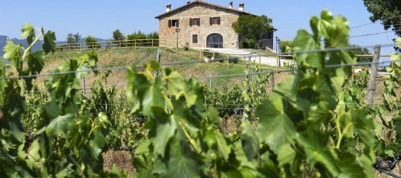 16-Zimmer Villa in San Giovanni Valdarno, Italy, Nr. 211377 32