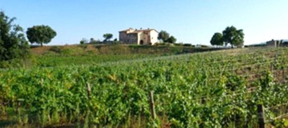 16-Zimmer Villa in San Giovanni Valdarno, Italy, Nr. 211377 36